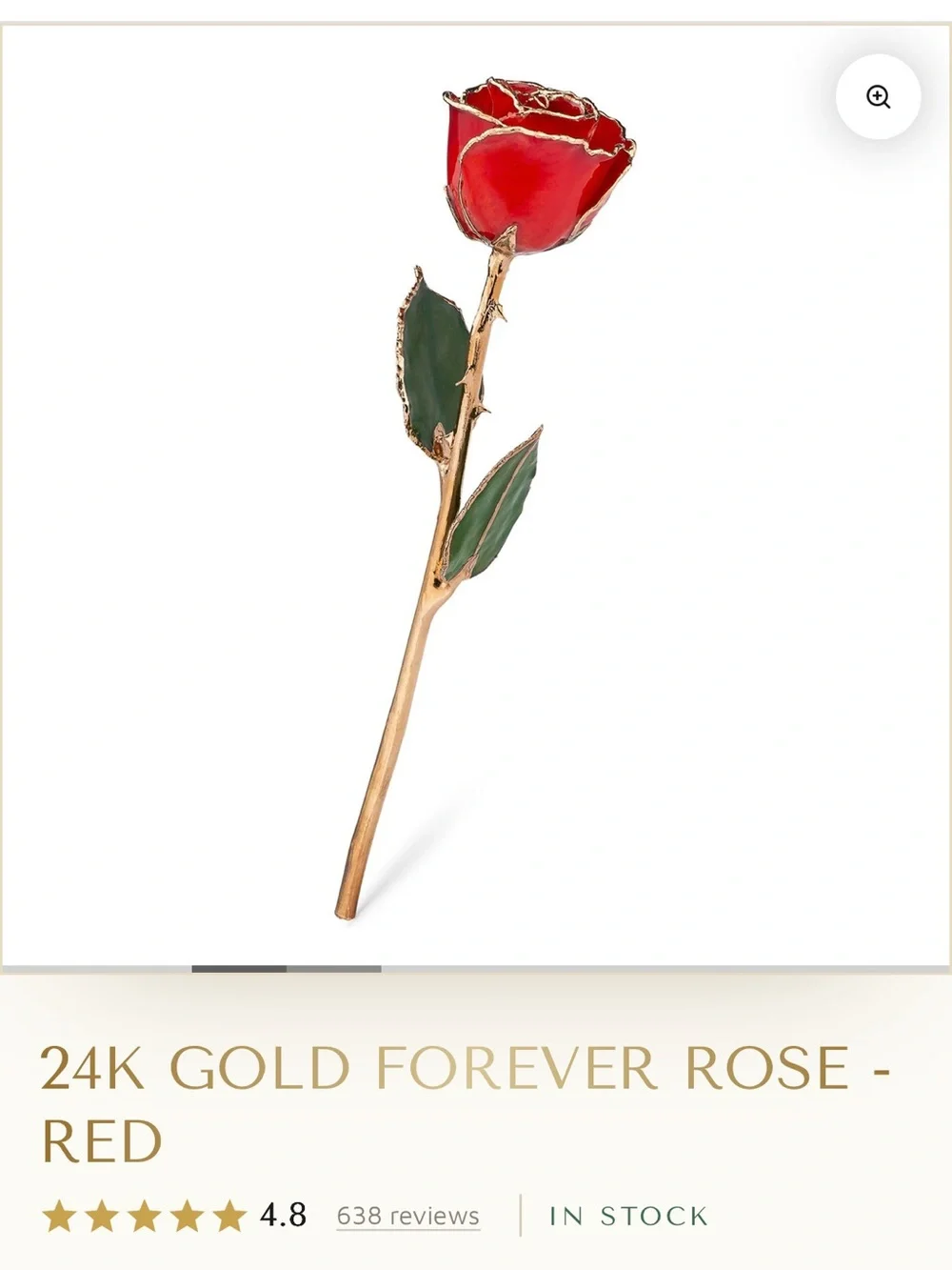 Red forever rose